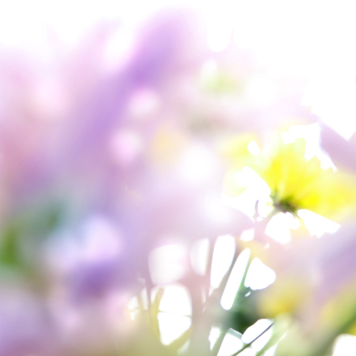 Flower & Stone Meanings